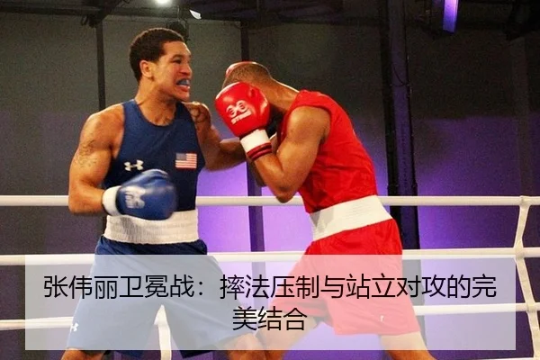 zhang-wei-li-wei-mian-zhan-shuai-fa-ya-zhi-yu-zhan-li-dui-gong-de-wan-mei-jie-he-2-621.jpg