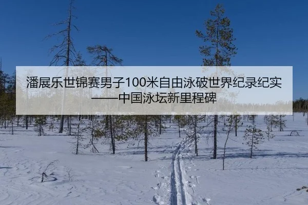 潘展乐世锦赛男子100米自由泳破世界纪录纪实——中国泳坛新里程碑