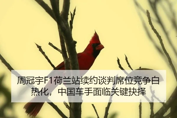 周冠宇F1荷兰站续约谈判席位竞争白热化，中国车手面临关键抉择